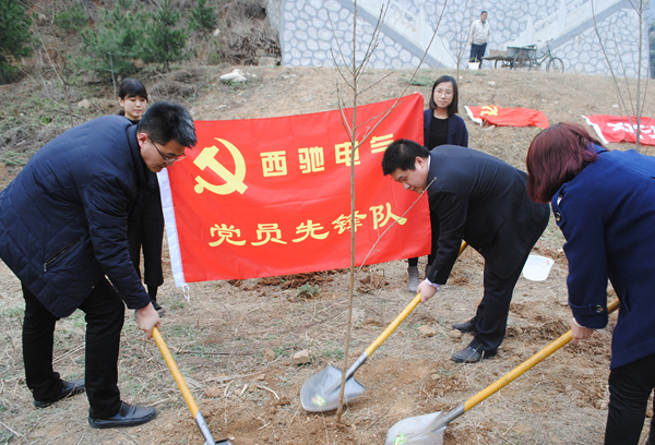 “春动88038威尼斯检测 绿满秦岭”公益植树活动(图3)
